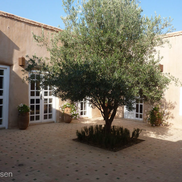sejours-retraitres-entrepreneurs-ceo-jardin